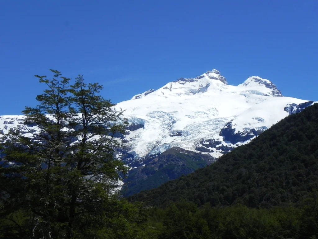 El Cerro Tronador nevado visto desde el bosque de Pampa Linda en un día despejado.