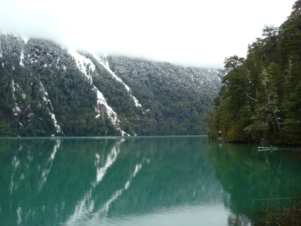 Aguas verdes del Lago Frías reflejando laderas boscosas nevadas bajo la niebla.