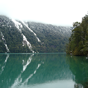 Aguas verdes del Lago Frías reflejando laderas boscosas nevadas bajo la niebla.