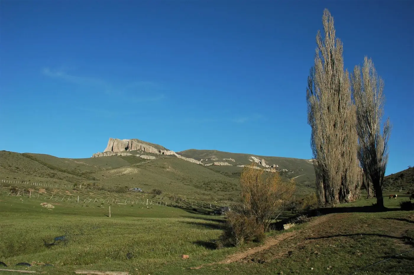 El Cerro La Buitrera visto desde el campo, con álamos en primer plano y las formaciones de roca en la cumbre.